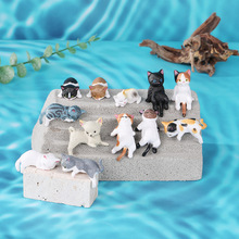 ��ʽ�¿��PVC߅��؈�~���쾰�b�΢���^ɳ������@ˇ�[�����l