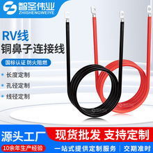 防火 RV线 储能连接线 新能源线束 电池汽车电瓶大电流动力端子线