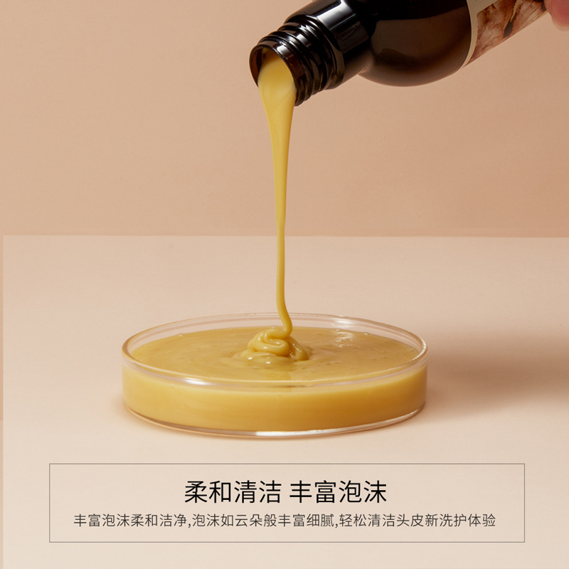Champú Suave como la Seda con Jengibre Boquanya, espuma densa, limpieza y cuidado suave para el cabello, champú al por mayor.
