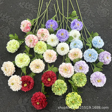 �¿�羳���滨3�^ǧ��ĵ����c·����Y�û����b������ļٻ�