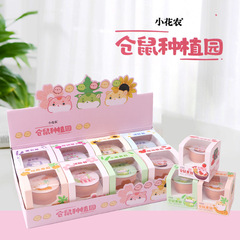 Small Flower Farmer Children's Pot Plant Hamster Farming Factory Source Manufacturer Student Educational Science Toy Plant Growth Observation