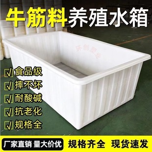 Plastic Turnover Water Tank, Beef Tendon Water Storage Bucket, Aquaculture Fish Tank, Ceramic Tile Soaking Tank, Turtle Breeding Tank, Special for Aquatic Product Storage