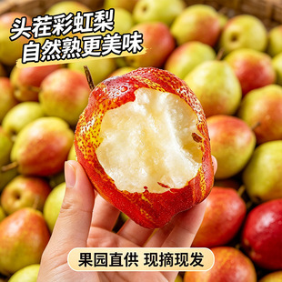 �ʺ�����4.6-5.2�����殔�����rˮ���tƤ�Fժ����ˬ��������