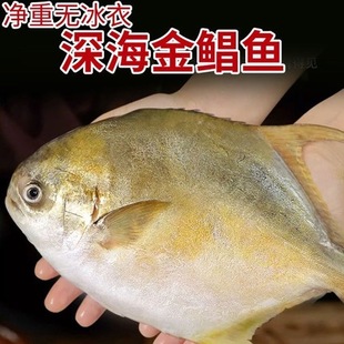 ��؛���K�~���~����~���r������ش��y�K�~�c�~ƽ�~���K��S���]