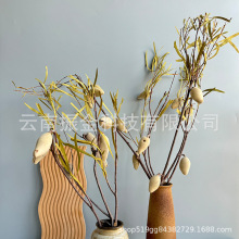 ����ϡ�л���С��ֲ��˱�ľ����ɻ��F؛�Ĕz���߱�������
