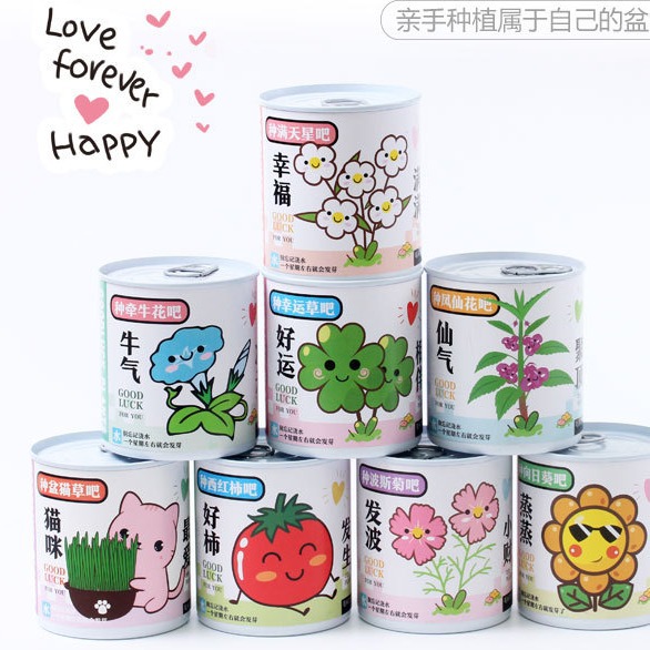 ��ֲ��ͯ��ͷ�����ް칫�Ҵ�����ɫ���Ի�������DIYֲ��ѧ����Ʒ