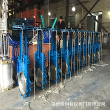 ZL73X-16���݆ʽ�{Һ�y �քӵ��͝{Һ�y �݆ʽ���A�{Һ�����l�y