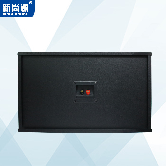 Frecuencia bi-divisada profesional 8 pulgadas 10 pulgadas 12 pulgadas KTV entretenimiento barbacoa bar verde entrenamiento sala de conferencias de baile caja de sonido