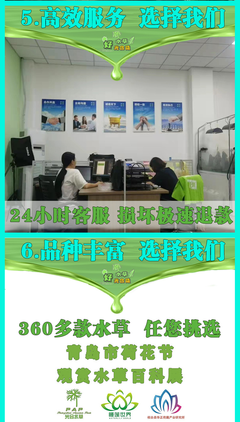 2023详情页六大保_03