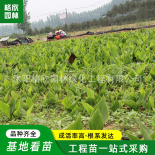 ˽NֲͥԺGֲ˽oϷȫ_