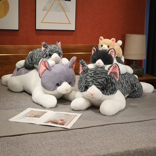 ��ͨ�������С؈�乫��ë�q���ſſ؈����żŮ����鰲�᲼����