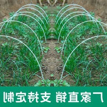 种菜棚架拱形拱杆骨架小拱棚拱竿菜园新型菜地蔬菜支架专用农用