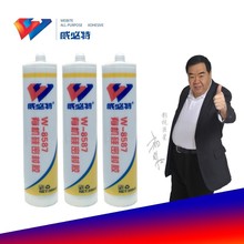 W-8587ЙCܷz300MLƽzȼClәC|Ƭz