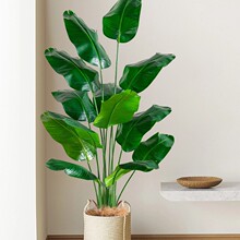 ���滨�ٻ��[�O����Gֲ�٘������B�҃ȿ͏d����ֱ���g�b[��