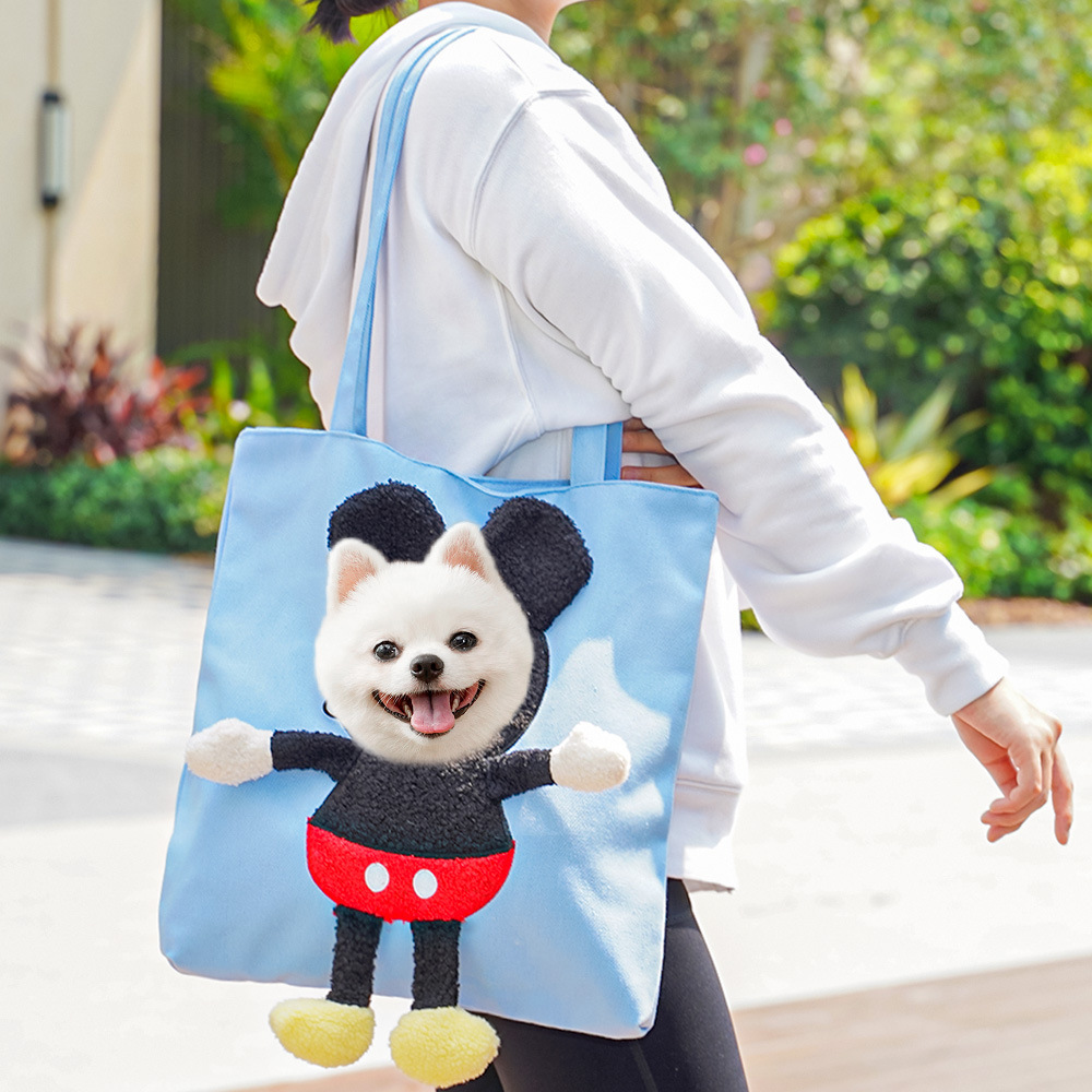 Mascotas para gatos bolsas de viaje al por mayor bolsas para perros y gatos bolsas de mano para perros pequeños salientes bolsas de hombro para perros