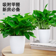 G}҃ȿ͏dȩ՚ˮֲGֲkҾGjl