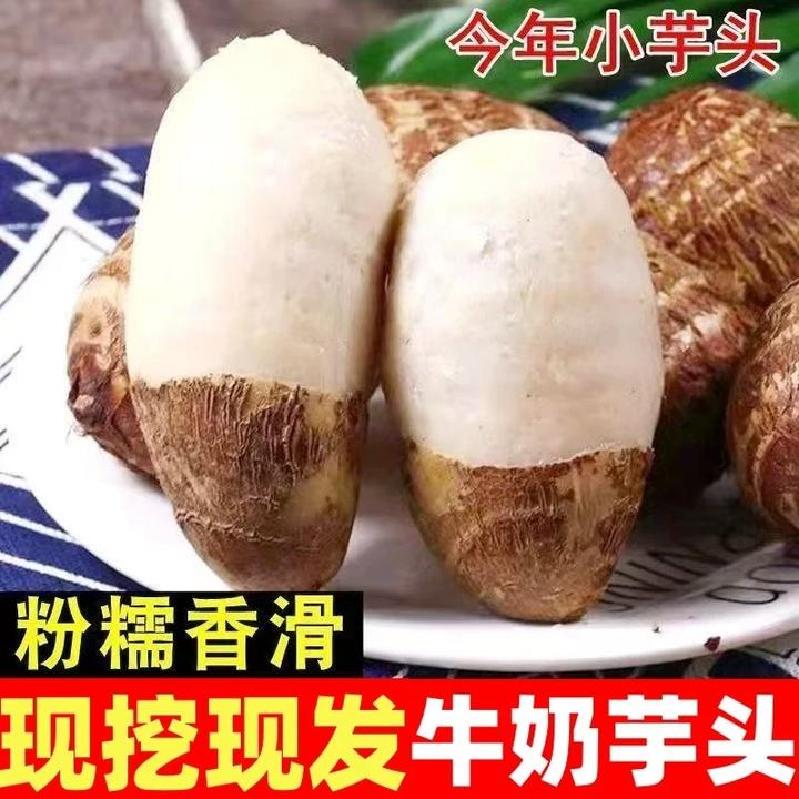 Shandong Milk-Flavored Taro, Large Milk Taro, Fresh-Picked Seasonal Vegetables, Small Taro Shandong Milk-Flavored Taro, Large Milk Taro, Fresh-Picked Seasonal Vegetables, Small Taro