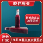 滋补养生鹿血酒500ml瓶装鹿茸血加酒保鲜