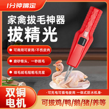 �羳����Óë�C���ݰ�ë�C�����u���Zȥë���_˹Խ�ό����WҎ�N��