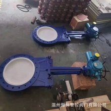 մҺӵly PZ273TC-16C DN100  V{ y