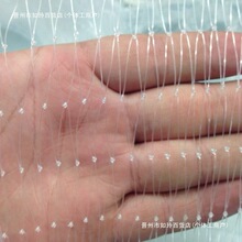 �νz͸����~���WƬ�~�����@���B�õľW���o�W���W�~�W�����O�W