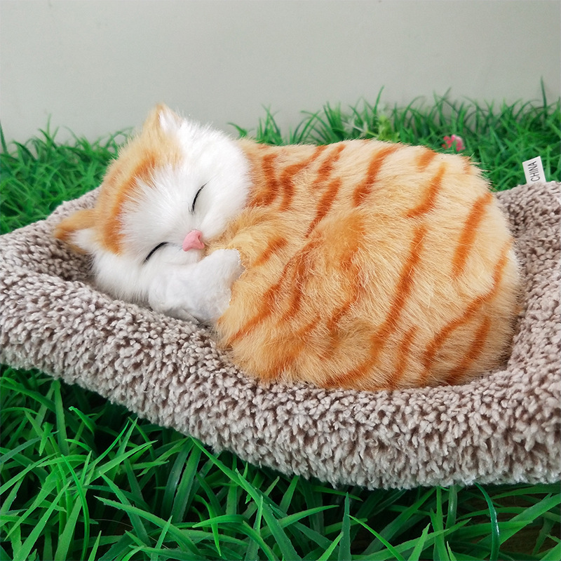 adornos de automóviles