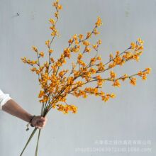 �W�����������ٝ{��֦�����������t����˼����c��ˇ�����b�