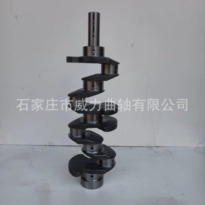 4D56T 4D54 4D55 engine – Crankshaft, camshaft