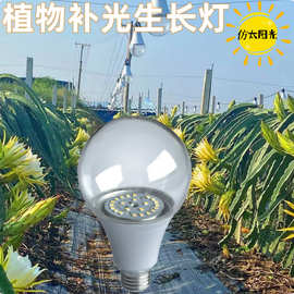 植物生长灯补光灯LED全光谱户外防水套件灯泡火龙果植物照明