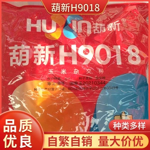 Общие сельскохозяйственные гибридные семена кукурузы оптом Huxin H9018 семена кукурузы гибридные семена