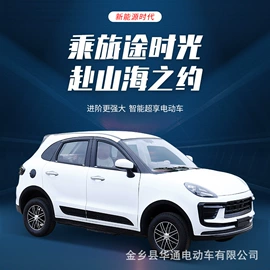 其他电动车;电动三轮车;电动代步车