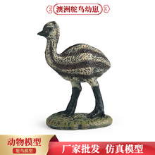 儿童仿真动物模型鸟类玩具鸸鹋澳洲鸵鸟幼崽展览馆道具家居摆件
