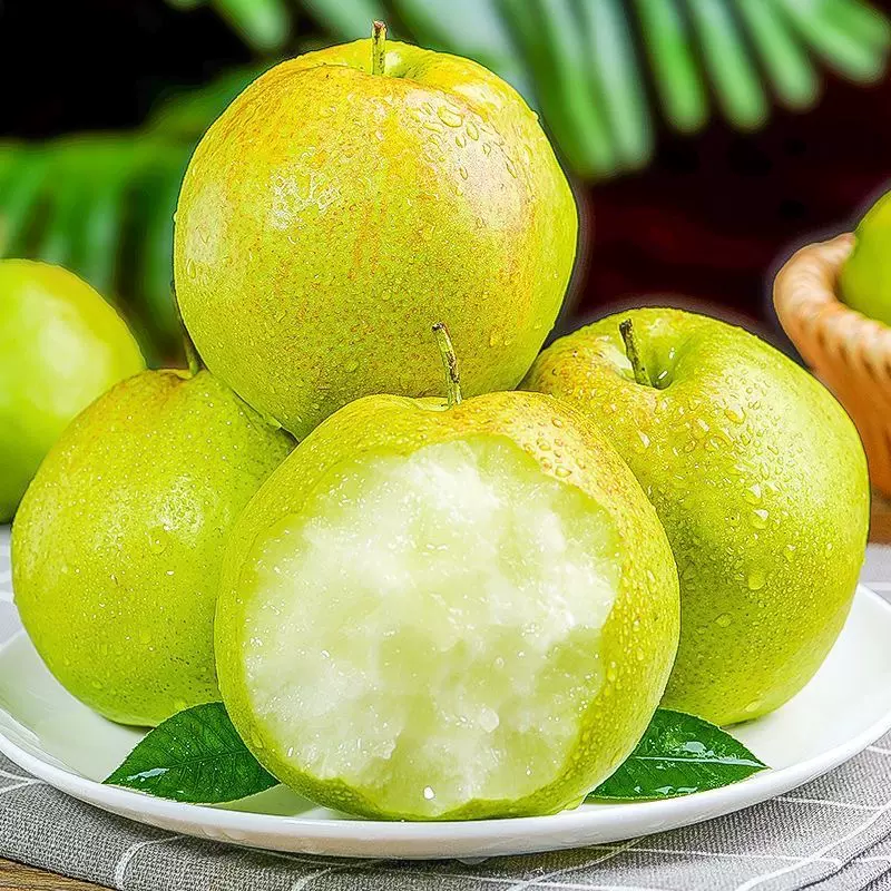 玉露香梨新鲜大果脆甜梨子当季现摘皮薄多汁无渣产地直发整箱包邮
