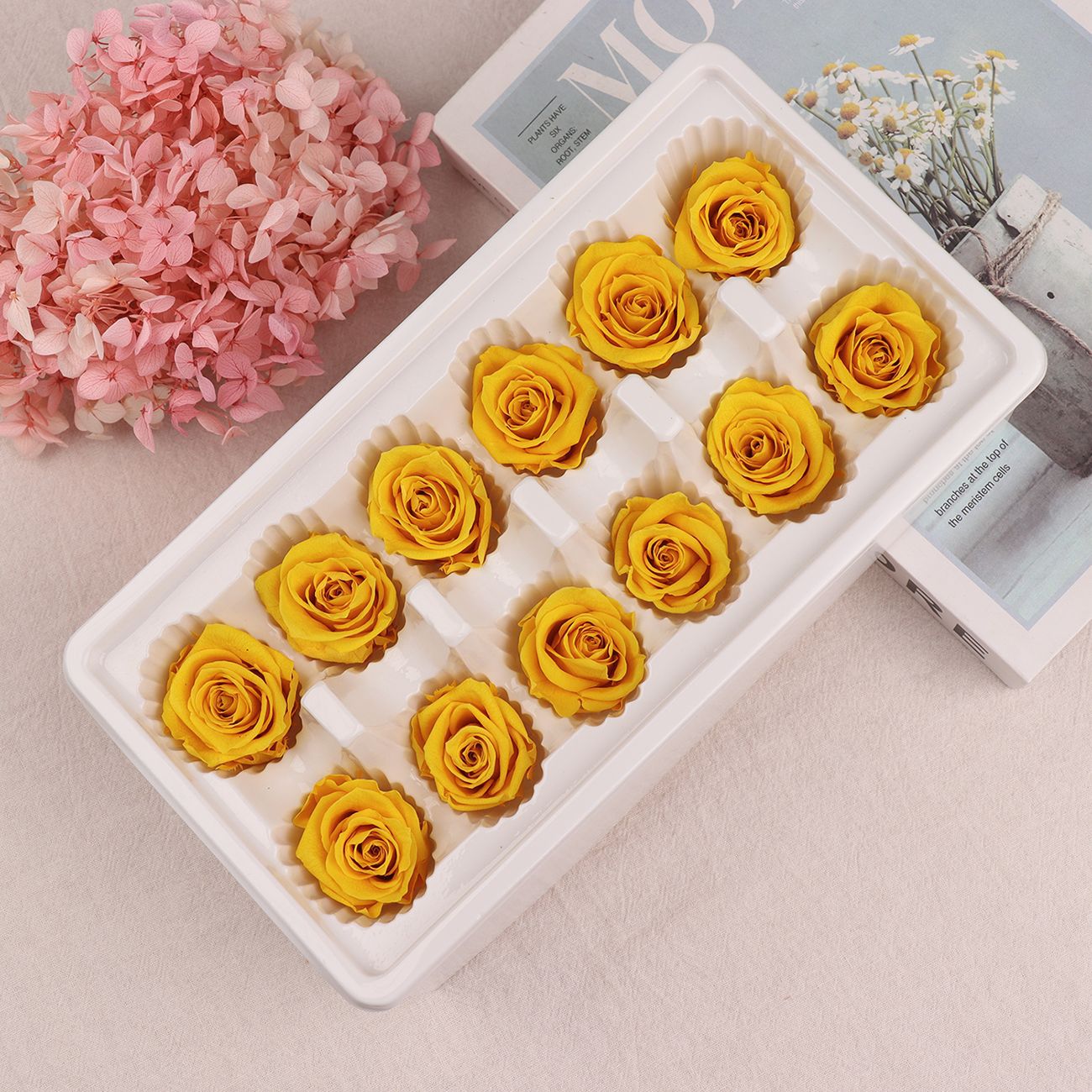 Cabezas de Rosa Eternas A+, 3-4 cm, 12 Piezas, Materiales para Manualidades Florales, Caja de Regalo, Fabricante, Venta al por Mayor