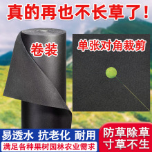 ݲ@ͳݲBڲrñ͸ˮwĤ