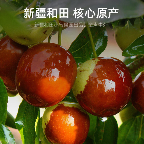 【Qili Fragrance】Xinjiang Hotan Jujube Wholesale, Carefully Selected Specialty Jujubes 250g per Piece, Shipped as Red Sweet Jujubes