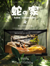 ������B�׌������䎧�쾰�������B�h�����������ˮꑸ׾��^