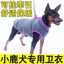 小鹿犬宠物狗狗专用卫衣小型犬小体带牵引绳两脚泰迪衣服冬天保暖