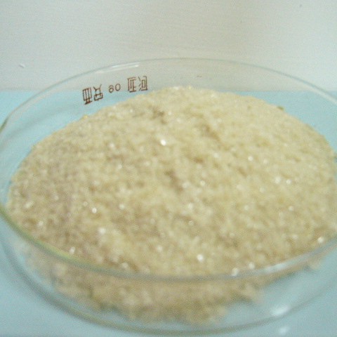 ţѪ��׵���(�������)-1G