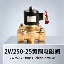 2W 黄铜电磁阀4分6分1寸1.2寸1.5寸2寸电磁阀 AC220V,DC24V,DC12V
