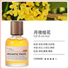 Perfume for auto, transport, high-end aromatherapy, perfumed jewelry