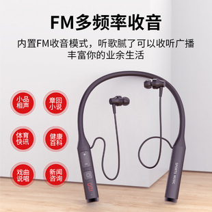New Private Mold Hanging Neck Bluetooth Headset Multi-function Display with Radio Plug-in Card Wireless Sports Long Endurance