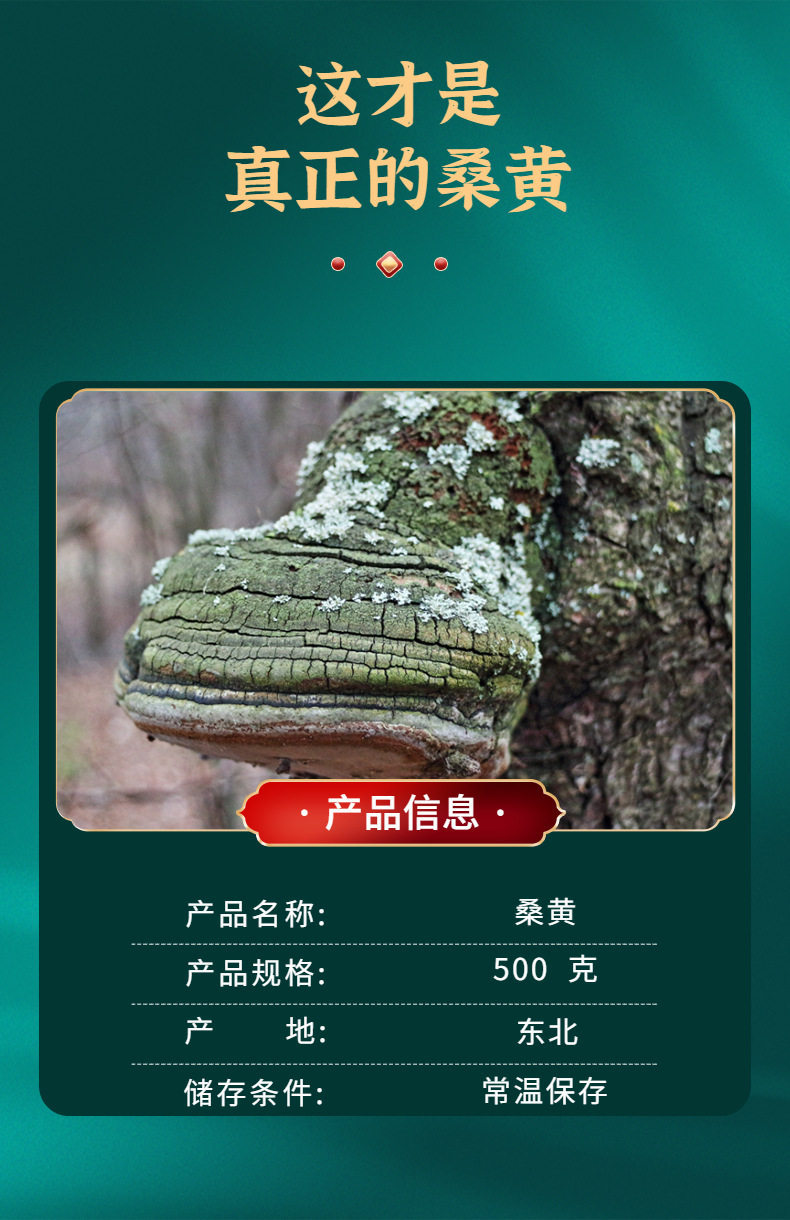 Sanghuang Mushroom Sang Huang Wild Cut Pieces Changbai Mountain Herbal Tea Material 250g 500g key features