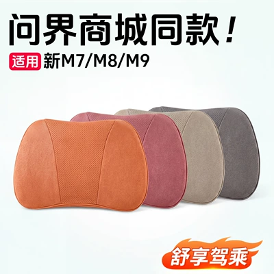 as in the Mall, Car Neck: Headrest