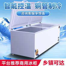 冰柜全冷冻商用卧式冷藏冷冻柜冰箱冷柜双门双温工厂直销速卖通