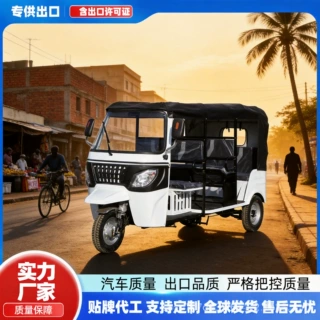 出口非洲TVS搭载4个乘客拉客三轮车嘟嘟车汽油燃油摩托跨境