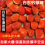 丹东精选采摘产地草莓