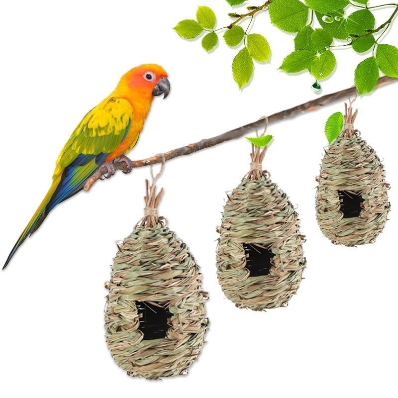 세 개의 간단한 새 둥지