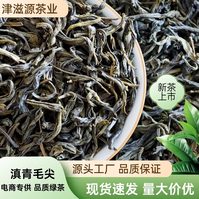 2025新茶茶饮专用滇青毛尖烘青绿茶散装茶叶清香型绿茶|undefined