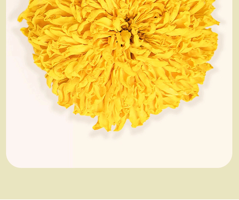 Wuyuan Imperial Chrysanthemum Tea Huang Ju Whole Flower Loose Herbal Tea 500g Low Temperature Dried in use